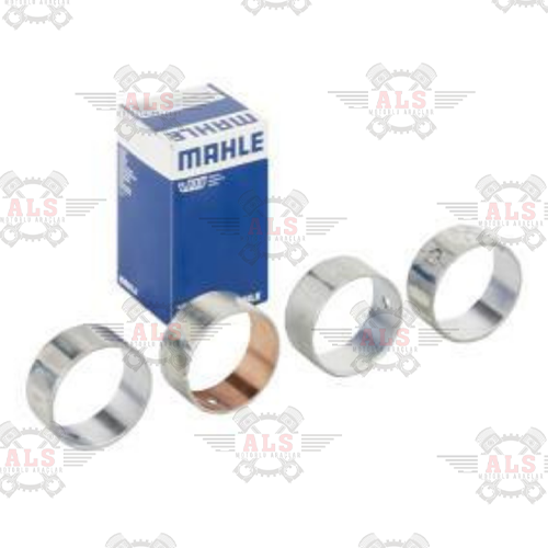 EKSANTRİK YATAK STD OM344 352 353 366 2517 2521 2524